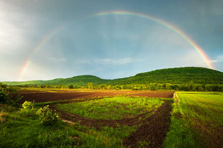Beautiful rainbow above the mountain and rice farm, rainy season in countryside of Thailandの写真素材