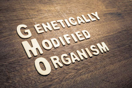 GMO or Genetically Modified Organism text by wood letters arranged on wood backgroundの写真素材