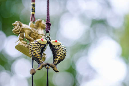 Feng shui chimes, golden couple fish chimes hanged outside the house, symbol of abundance and richness in Chinese cultureの写真素材