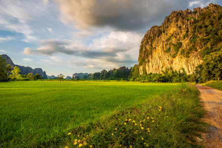 Rice field and limestone mountain, travel scenic at Noen Maprang, Phitsanilok, Thailandの写真素材