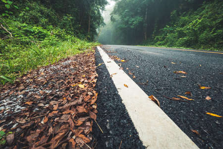 Low angle view of asphalt road through the forest in foggy dayの写真素材