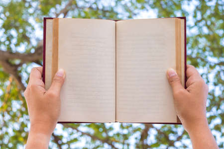 Closeup hands hold the book to read while laying under the treeの写真素材