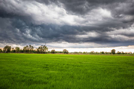 Overcast sky with storm clouds over the green rice field, rainy season in countryside of Thailandの写真素材