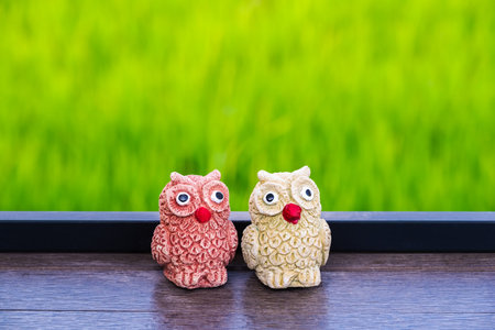 Miniature stone owl dolls decorated on the table near the green rice fieldの写真素材