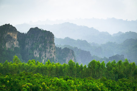 Limestone mountain range in the foggy of rain clouds with treetop of Eucalyptus and mango tree, travel scenic in rainy season at Noen Maprang, Phitsanulok, Thailandの写真素材