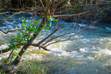 Beautiful creek in winter with splash flush water through the forest on the Khek River, tourist attraction in Phitsanulok province, Central of Thailandの写真素材