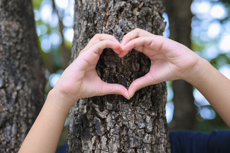 Child gesture her hands as heart symbol on the tree trunk in the forest