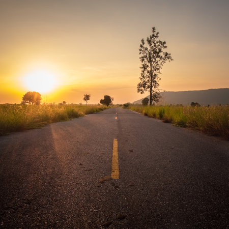 Lonely or less traveled asphalt road through the field in countryside at sunsetの写真素材