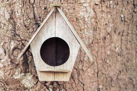 Old wooden bird house hanged on the tree trunkの写真素材