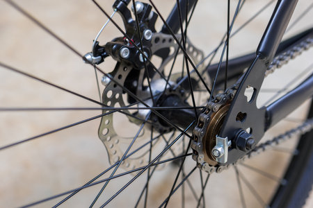 Closeup bicycle rear wheel, showing single gear speed and chain