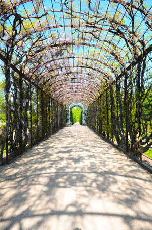 walkway in Schoenbrunnの写真素材