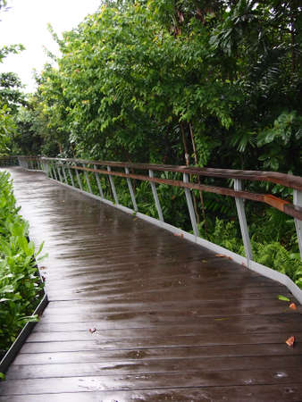 trail nature reserveの写真素材