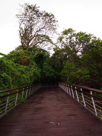walk trail