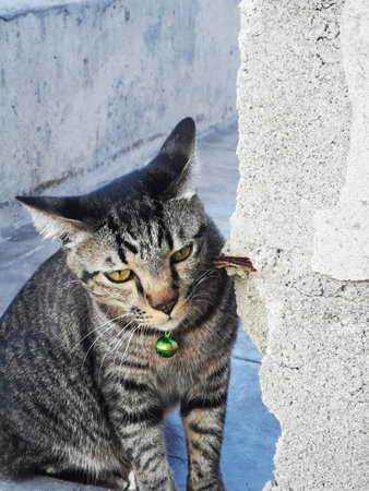 viewの写真素材