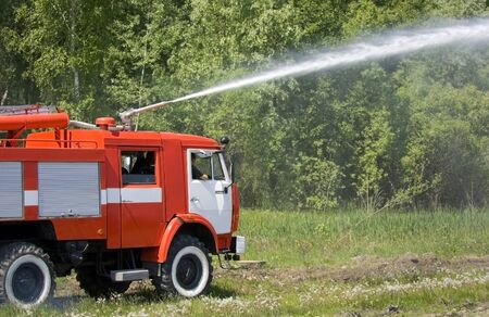 Car fire puts out the forest fire
