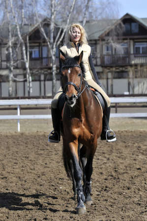 Equestrian sport: a female caucasian horse rider riding her beautiful brown horseの写真素材