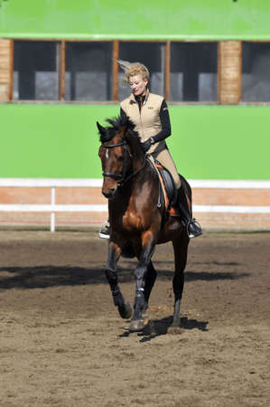 Equestrian sport: a female caucasian horse rider riding her beautiful brown horseの写真素材