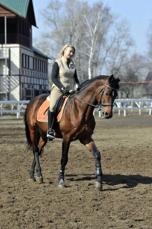 Equestrian sport: a female caucasian horse rider riding her beautiful brown horseの写真素材