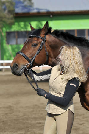 beautiful girl with the brown horseの写真素材