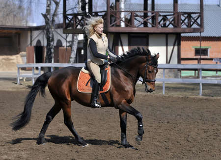 Equestrian sport: a female caucasian horse rider riding her beautiful brown horseの写真素材