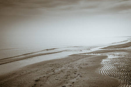 sand, sea, light and fog in Adriatic beach - sepia tone.の写真素材