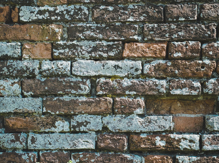 Bricks wall with lichens. Background textureの写真素材