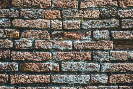 Bricks wall with lichens. Background texture