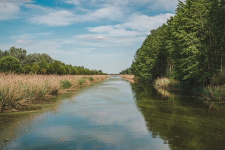 Drainage channel in Campotto, Argenta, Ferrara province, Emilia Romagna, Italy.の写真素材