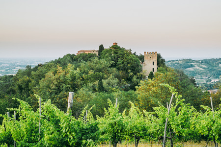 The ancient Monteveglio Abbey viewed from the vineyard in front of. Bologna province, Italy.の写真素材