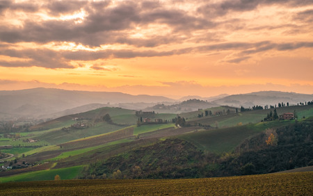 The hills in the southwest of Bologna; production area of typical wine named Pignoletto. Bologna province, Emilia Romagna, Italy.の写真素材