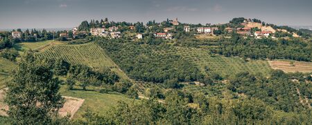 Orchards and vineyards on the hills at "San Lorenzo in Collina". Bologna Province, Emilia Romagna, Italy.の写真素材