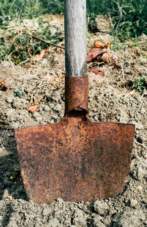 Shovel in the groundの写真素材