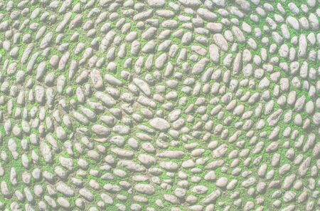 Toned down garden pebbly floor backgroundの写真素材