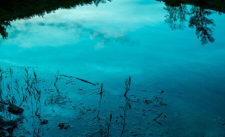 Sky and trees reflecting in the pond water at the dusk, background texture.の写真素材