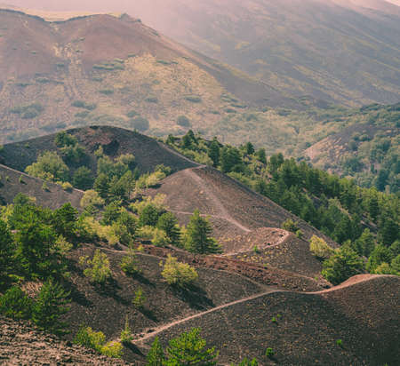 Landscape in the nord-east slope of the  Etna volcano. Catania province, Sicily, italy.の写真素材