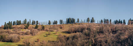 Row of cypresses on the ridge of the hill in Bologna province countryside. Ozzano Emilia, Bologna, Emilia and Romagna, Italy.の写真素材