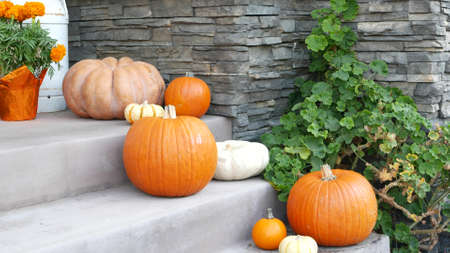 LOS ANGELES, CALIFORNIA, USA - OCT 29, 2019: Scary festival decorations of a house, Happy Halloween holiday. Doorway stairs with jack-o-lantern pumpkin. Traditional party decor. American culture.のeditorial素材