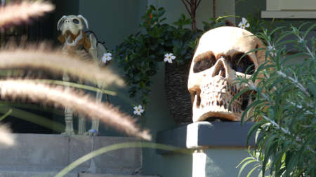 LOS ANGELES, CALIFORNIA, USA - OCT 29, 2019: Scary festival decorations of a house, Happy Halloween holiday. Classic garden with Pumpkin, Bones and Skeleton. Traditional party decor. American culture.のeditorial素材