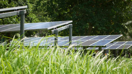 Solar panels over grass on sunny day. Row of alternative power plants on lawn producing ecological...