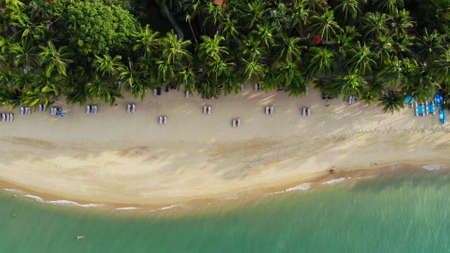 sandy beach  palms. Aerial view of  sun beds on sandy beach  coconut palms and roof bungalows