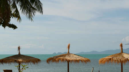Sunshades on sea background. Sun umbrellas from straw and palm trees on ocean and sky background in...