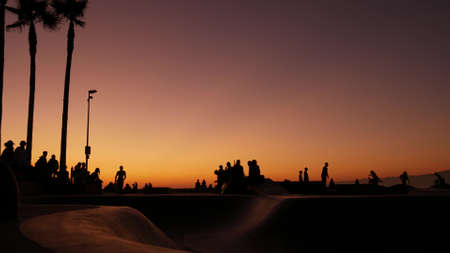 Silhouette of young jumping skateboarder riding longboard, summer sunset background. Venice Ocean...