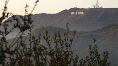 LOS ANGELES, CALIFORNIA, USA - 7 NOV 2019: Iconic Hollywood sign. Big letters on hills as symbol of cinema, movie studios and entertainment industry. Large text on mountain, view thru green leaves.のeditorial素材