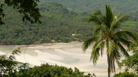 Samui Island thickly dotted with trees and vegetation. Scenic landscape of amazing paradise tropical...