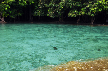Turquoise reservoir in sunlight, Transparent blue water of wild pond with green trees growing on shore, Thailandの写真素材