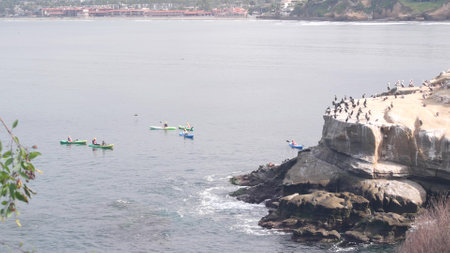 San Diego, California USA - 23 Nov 2020: Cormorant birds flock or colony, cliff by ocean water, La Jolla coast. Tourists kayaking, people on excursion tour to cave, recreational tourism, birdwatching.のeditorial素材