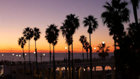 Blurred palms silhouette, twilight sky, California USA, Oceanside pier. Dusk gloaming nightfall atmosphere. Tropical pacific ocean beach, sunset afterglow aesthetic. Dark palm tree, Los Angeles vibes.の写真素材