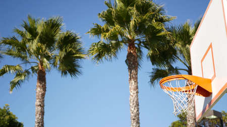 Orange hoop, net and backboard for basket ball game outside, basketball court outdoors. Recreational sport equipment on streetball field or playground. Blue sky and beach palm trees, California USA.の写真素材