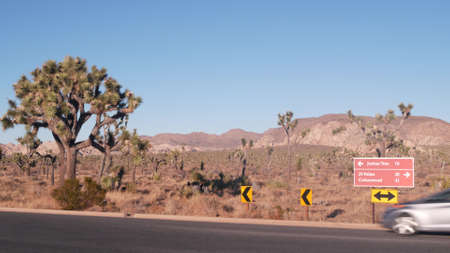 Crossroad sign with direction arrows on road intersection, California USA. Travel destination for trip on vacations. Joshua Tree national park, desert wilderness. Hitchhiking traveling in yucca valleyの写真素材