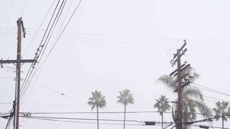 Palm trees in fog on american city street, misty foggy cloudy weather in California, USA. Power...